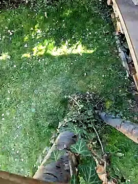 Snapshot of Lorent6969 chatting on 7, 3, 2025 Lorent6969 online show from 7, 3, 2025