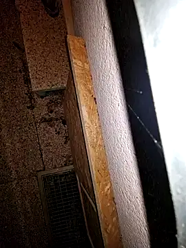 Snapshot of Lorent6969 chatting on 19, 9, 2025 Lorent6969 online show from 19, 9, 2025