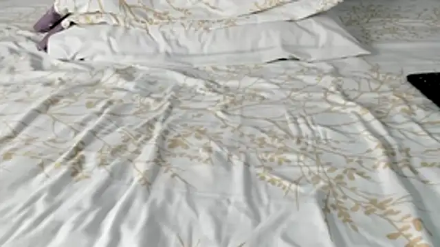 maybelline69 online show from 15, 2, 2026