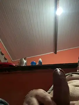 Snapshot of brunogordin69 chatting on 25, 9, 2025 brunogordin69 online show from 25, 9, 2025