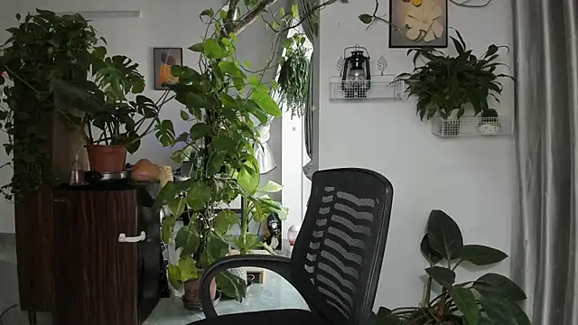 Oliver Nl online show from 28, 11, 2025