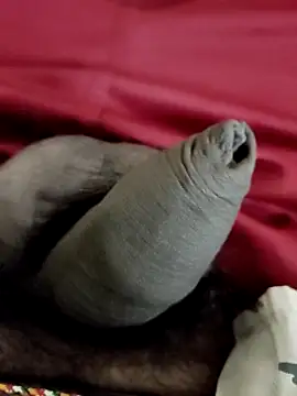 Ashish02345 online show from 24, 1, 2025