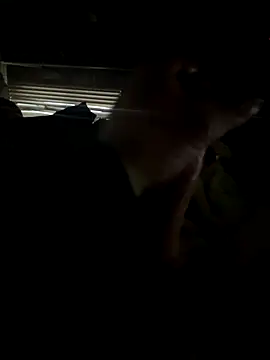 dickemdowncharleybrown online show from 17, 12, 2025