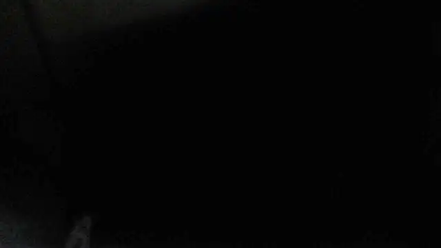 Snapshot of perversalus chatting on 17, 12, 2024 perversalus online show from 17, 12, 2024