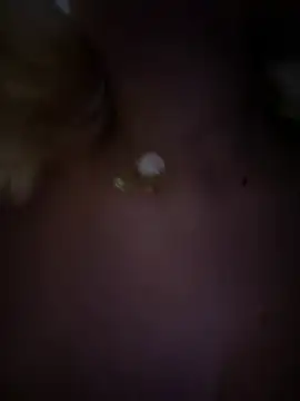 Snapshot of Enyeld_ruru chatting on 2, 2, 2025 Enyeld ruru online show from 2, 2, 2025