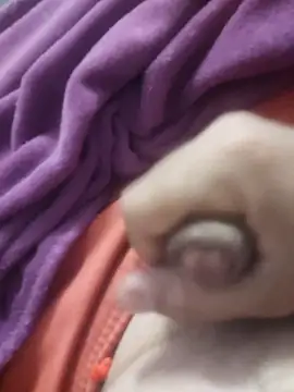 dredre1069 online show from 2, 2, 2026