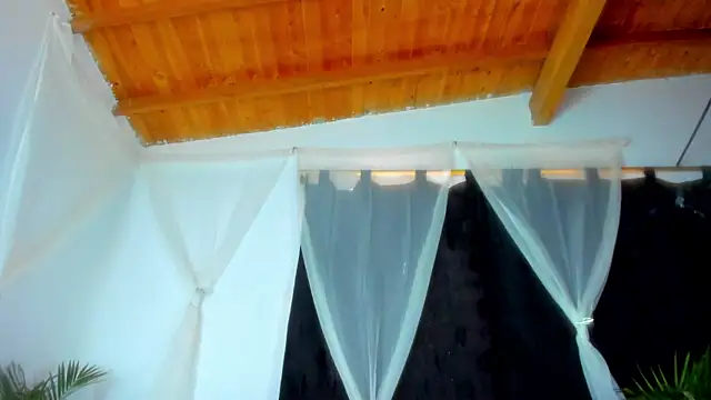 esteveen ortegas  online show from 2, 12, 2025