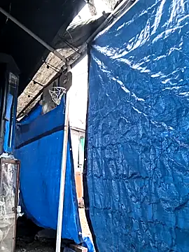 TexaSMESS 37 online show from 8, 2, 2026