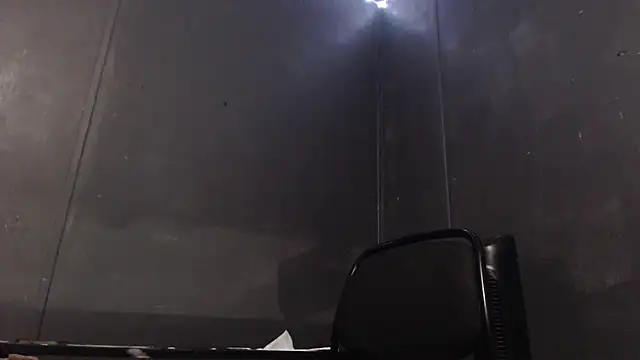 Dogz n daugthers online show from 29, 1, 2025