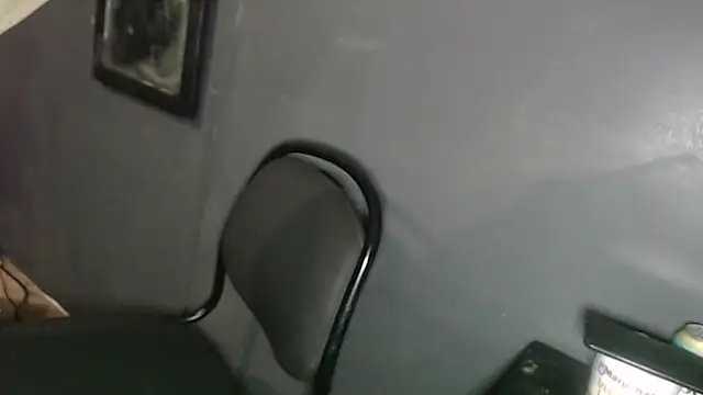 Dogz n daugthers online show from 2, 2, 2025