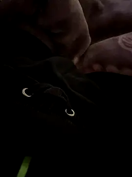 Snapshot of balamuc97 chatting on 4, 12, 2025 balamuc97 online show from 4, 12, 2025