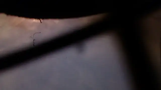 Snapshot of Cordt30 chatting on 12, 2, 2026 Cordt30 online show from 12, 2, 2026