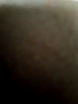 Snapshot of Exhibitionist1508 chatting on 7, 11, 2025 Exhibitionist1508 online show from 7, 11, 2025