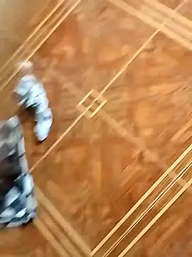 Snapshot of socrathes chatting on 26, 2, 2026 socrathes online show from 26, 2, 2026