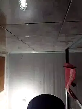 Adee21e online show from 17, 11, 2025