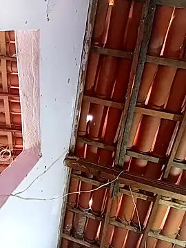 rau 4455 online show from 21, 12, 2025