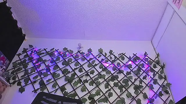 Pucaa  online show from 18, 1, 2025