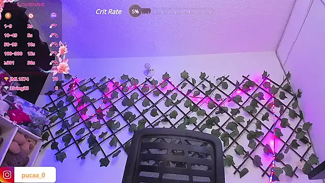 Pucaa  online show from 30, 1, 2025