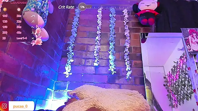 Pucaa  online show from 31, 1, 2025