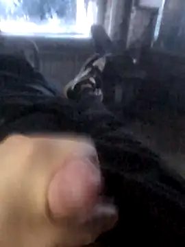 Snapshot of Boysex227 chatting on 19, 3, 2026 Boysex227 online show from 19, 3, 2026