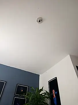 Snapshot of SilvaBranko chatting on 23, 12, 2025 SilvaBranko online show from 23, 12, 2025