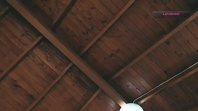 Snapshot of SilvaBranko chatting on 2, 3, 2026 SilvaBranko online show from 2, 3, 2026