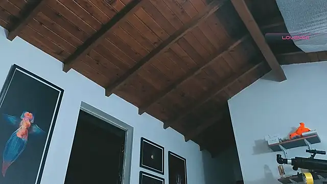 Snapshot of SilvaBranko chatting on 14, 3, 2026 SilvaBranko online show from 14, 3, 2026