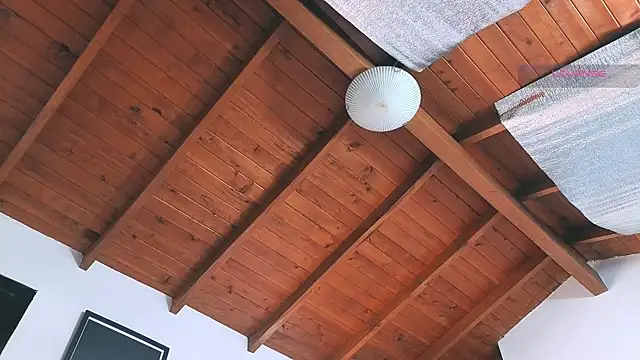 Snapshot of SilvaBranko chatting on 14, 3, 2026 SilvaBranko online show from 14, 3, 2026