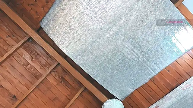 Snapshot of SilvaBranko chatting on 16, 3, 2026 SilvaBranko online show from 16, 3, 2026