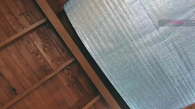 Snapshot of SilvaBranko chatting on 25, 3, 2026 SilvaBranko online show from 25, 3, 2026