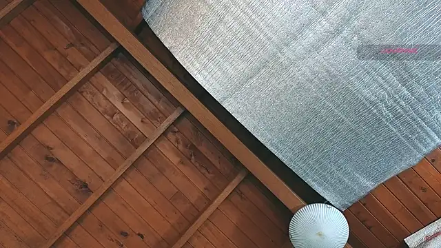 Snapshot of SilvaBranko chatting on 27, 3, 2026 SilvaBranko online show from 27, 3, 2026