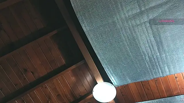 Snapshot of SilvaBranko chatting on 7, 4, 2026 SilvaBranko online show from 7, 4, 2026