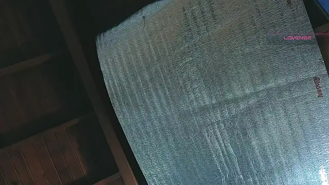 Snapshot of SilvaBranko chatting on 13, 4, 2026 SilvaBranko online show from 13, 4, 2026