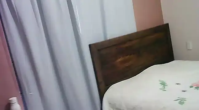 Snapshot of LEDRIX chatting on 29, 1, 2025 LEDRIX online show from 29, 1, 2025