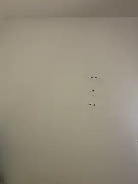 Snapshot of Bonniepark chatting on 1, 4, 2026 Bonniepark online show from 1, 4, 2026