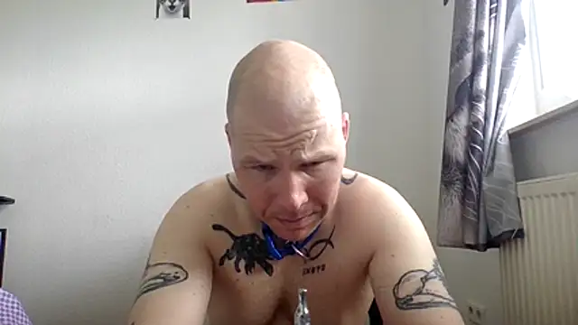Snapshot of gaywolf426 chatting on 15, 5, 2026 gaywolf426 online show from 15, 5, 2026