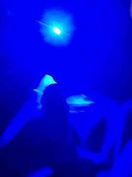 prcalek19 online show from 20, 11, 2025