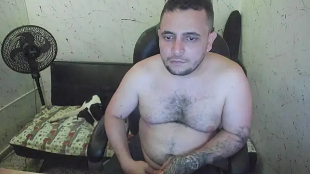  ace ventura online show from 17, 12, 2025