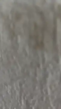 Ishikarana online show from 8, 10, 2025