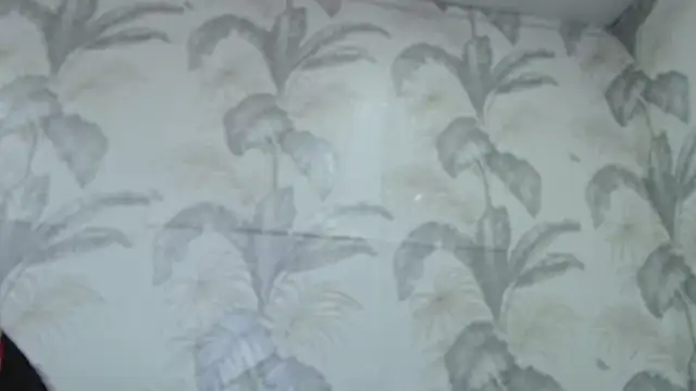 Snapshot of CamDiva113 chatting on 8, 2, 2025 CamDiva113 online show from 8, 2, 2025