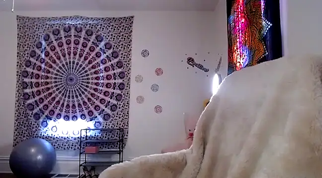 Snapshot of kellywildnnout chatting on 3, 12, 2024 kellywildnnout online show from 3, 12, 2024