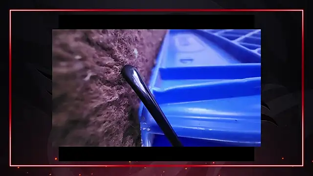 Snapshot of AriellaTaylor chatting on 11, 12, 2024 AriellaTaylor online show from 11, 12, 2024