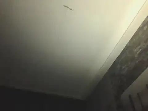 Snapshot of Prehistorixxx2686 chatting on 12, 1, 2025 Prehistorixxx2686 online show from 12, 1, 2025