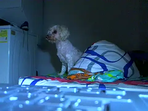 Snapshot of Ian_zaenzz chatting on 27, 11, 2025 Ian zaenzz online show from 27, 11, 2025