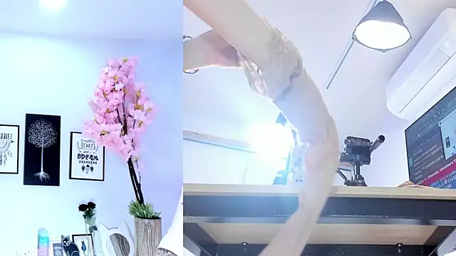 Siouxsie cenobite online show from 28, 10, 2025