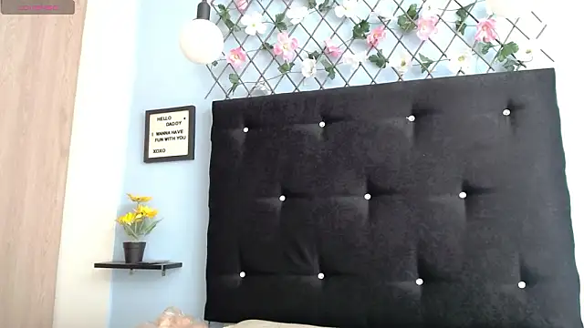 evatits 1 online show from 27, 2, 2026