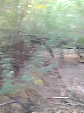 Ajith mvi online show from 29, 3, 2026