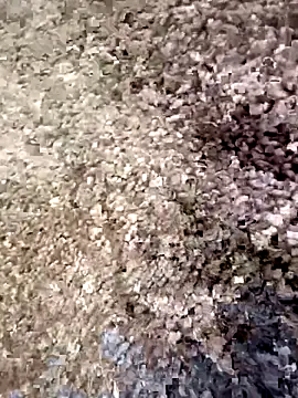 Snapshot of christian0009 chatting on 18, 12, 2025 christian0009 online show from 18, 12, 2025