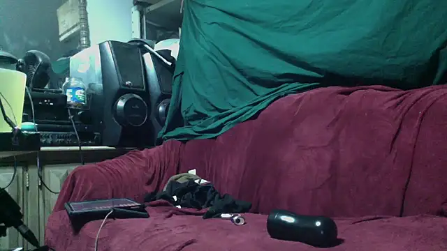 Snapshot of Phelyxx_elgato chatting on 10, 11, 2025 Phelyxx elgato online show from 10, 11, 2025