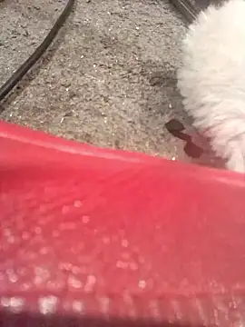 lubme online show from 7, 10, 2025